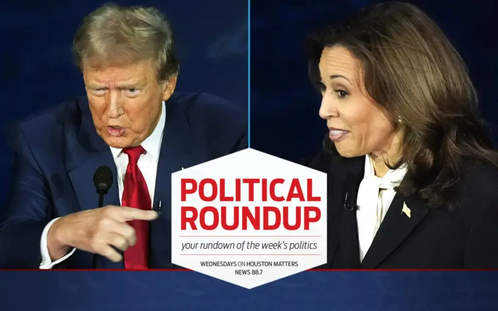 image edb6333b 8656 4a7c 8323 ff4d322fda6b.webp